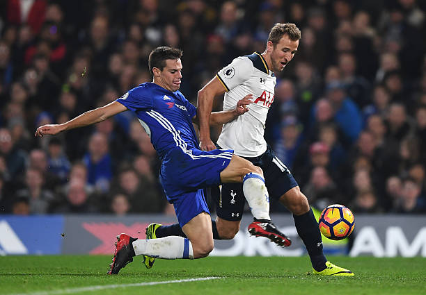 的不同类别 的不同类别